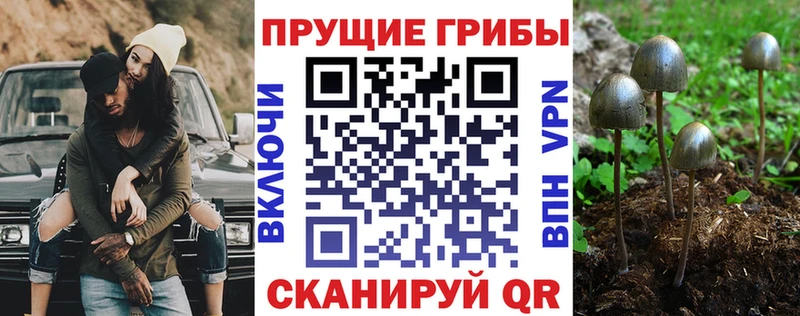 Псилоцибиновые грибы Magic Shrooms  hydra   Мончегорск  darknet официальный сайт  купить закладку 